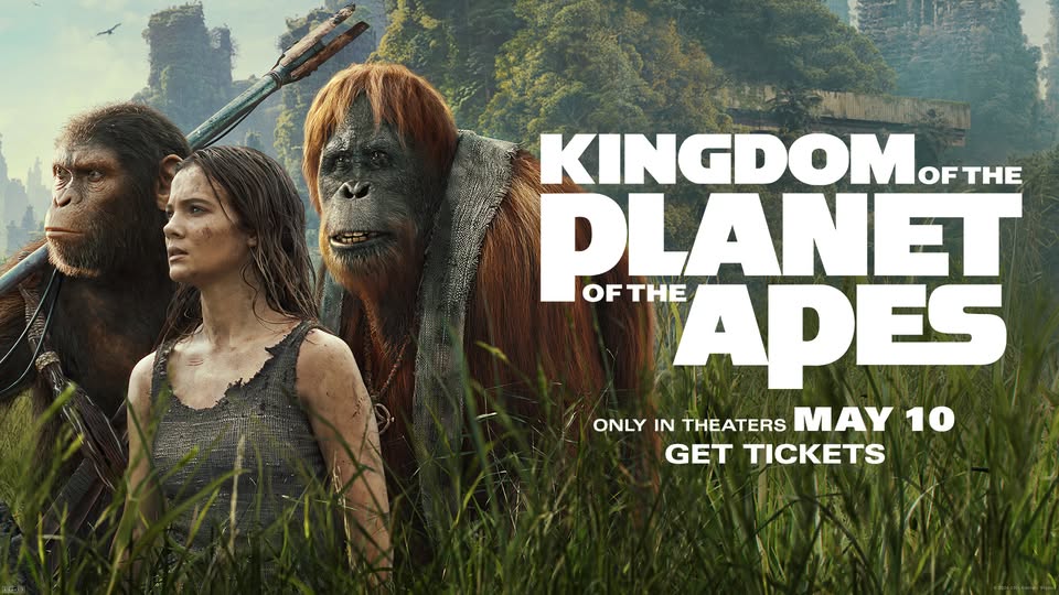 kingdom of apes